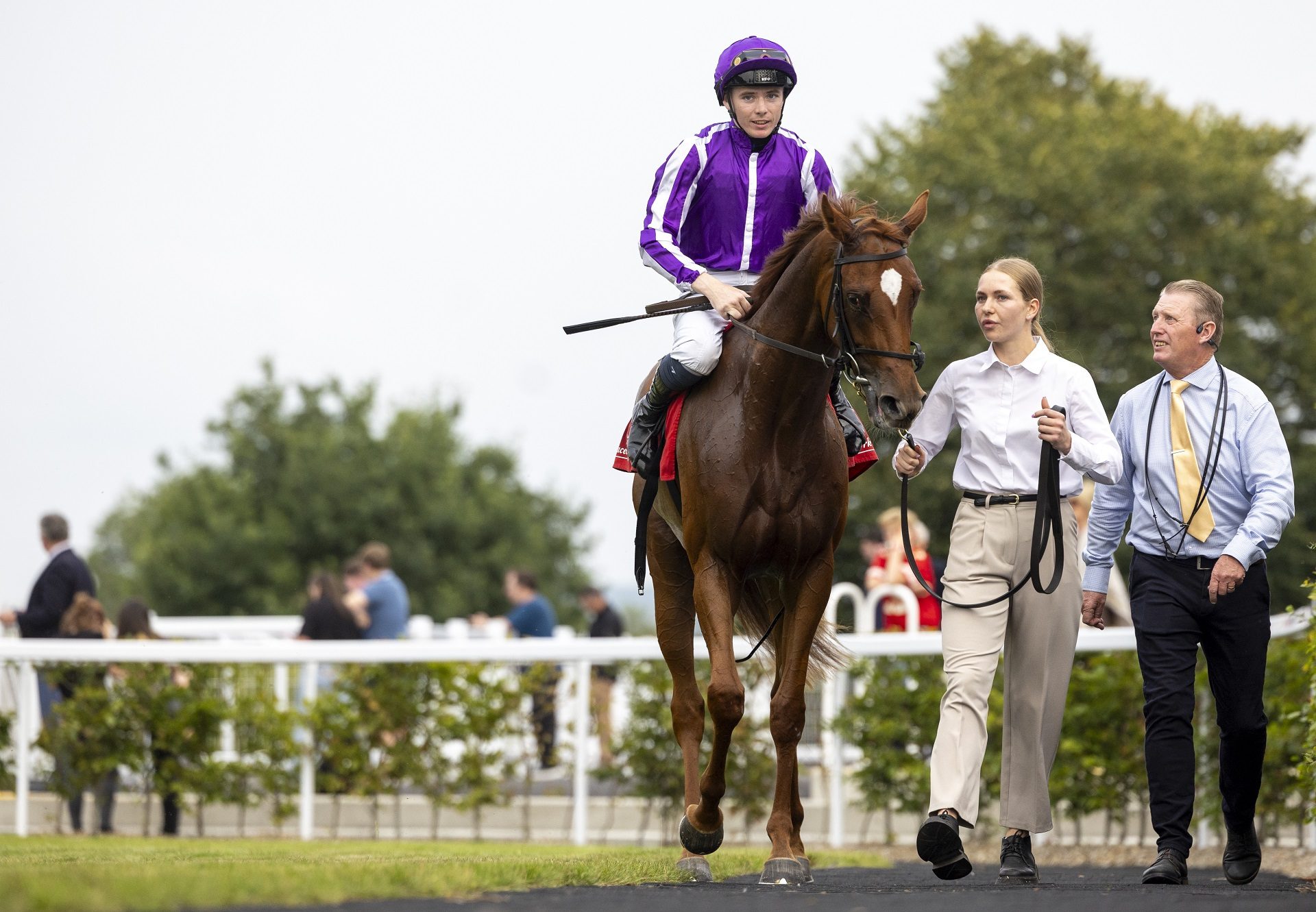 ​ Precise (starspangledbanner) cork