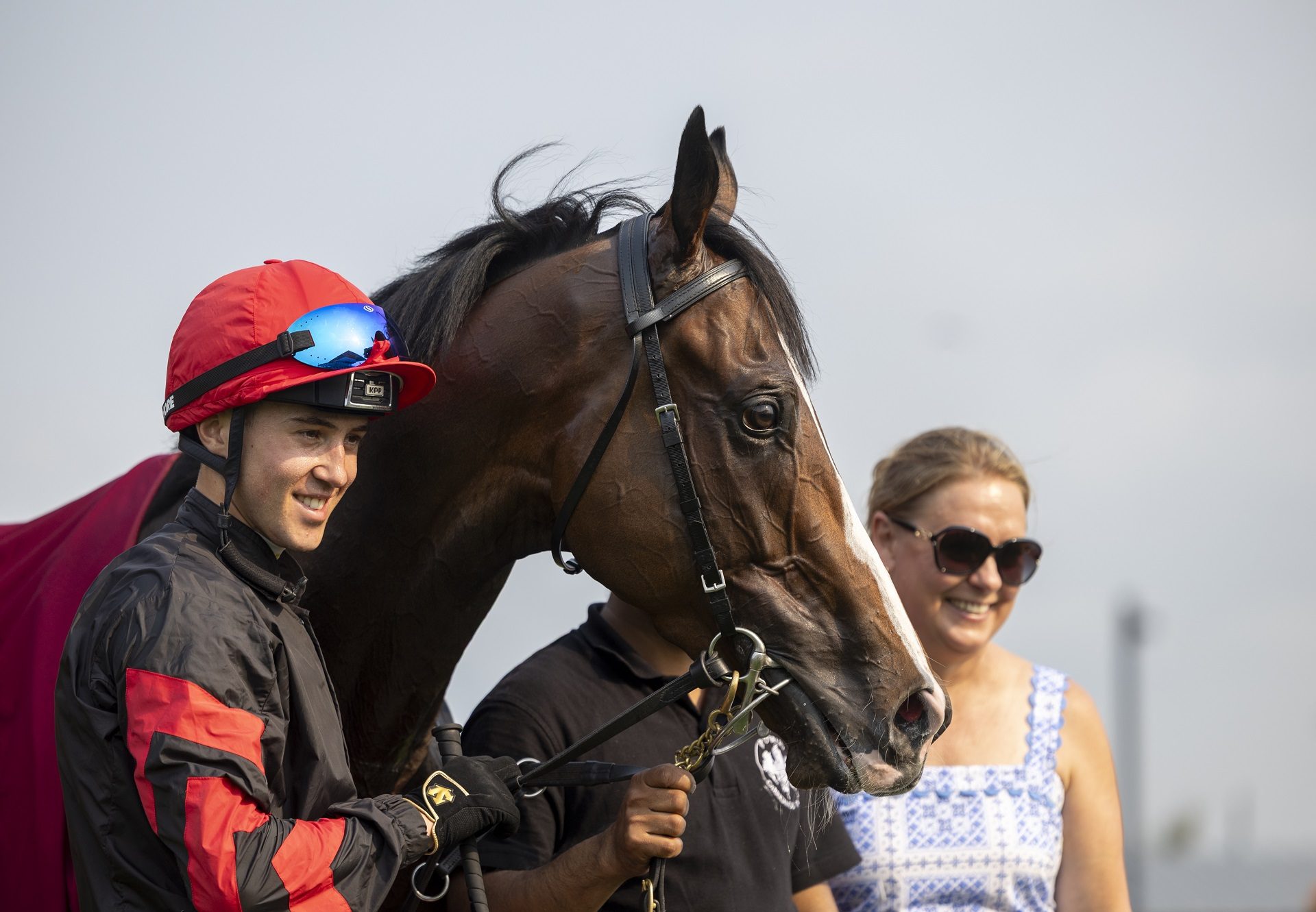 ​​ Leinster (camelot) curragh