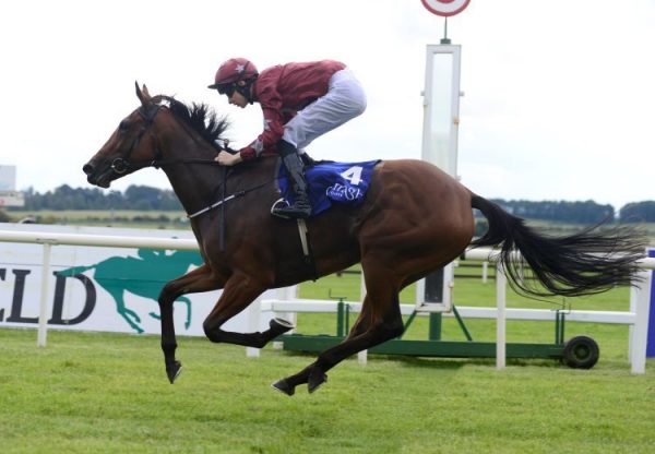 Qualify (Fastnet Rock)