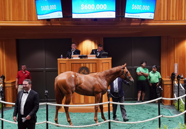 24C Corniche X Story Untold Lower Res