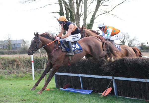 Captain Checkdown (Getaway) winning at Ballinaboola
