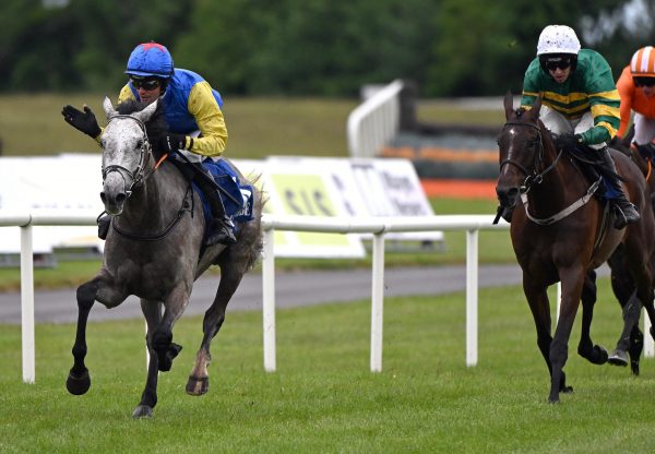 A Snow White Park (Walk In The Park) Wins At Ballinrobe