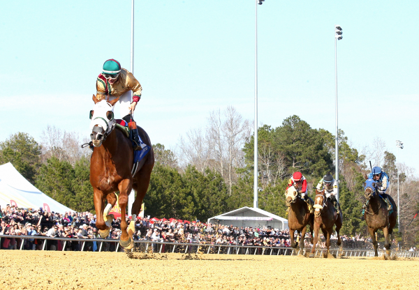 American Promise (Justify) Wins The Virginia Derby