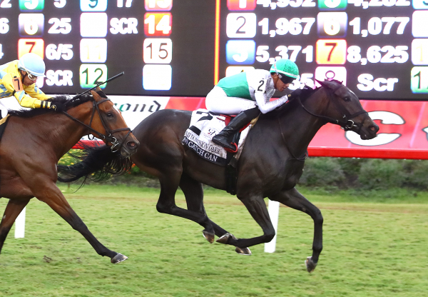 As Catch Can (Mo Town) Wins Old Dominion Oaks