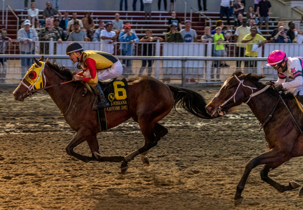 Accomodate Eva (Munnings) wins the La Champions Day Lassie Stakes
