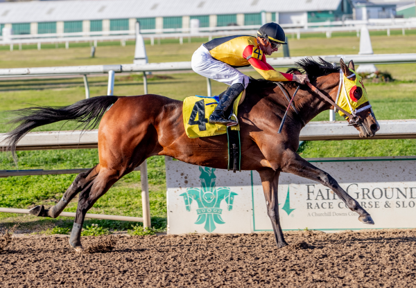 Accomodate Eva (Munnings) Wins Lipstick Junky Stakes at Fair Grounds