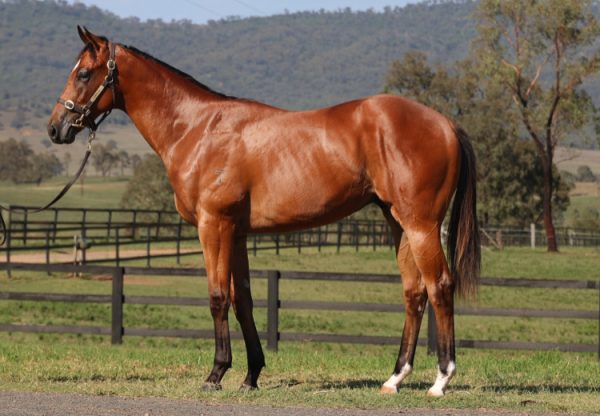 Acrobat X Maewyn 750