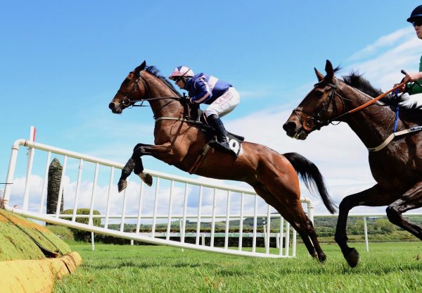 Adventure Bay (Ocovango) Wins The 5 YO Geldings Maiden At Punchestown