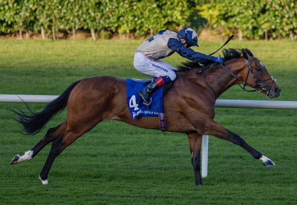 Aeronautic (Gleneagles) Impresses At Leopardstown