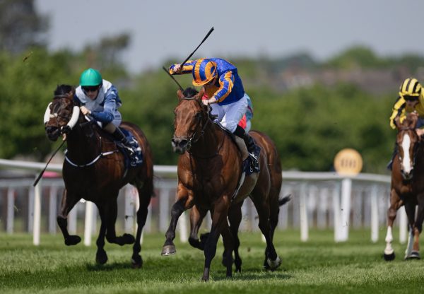 Aesop’s Fables (No Nay Never) Wins The Listed Sole Power Sprint Stakes