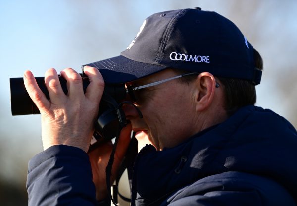 Aidan Obrien Bins Logo On Cap Resized