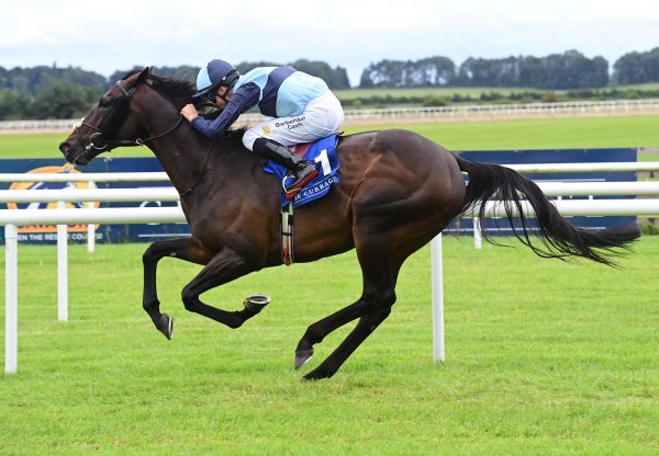 Al Riffa (Wootton Bassett) Curragh 17