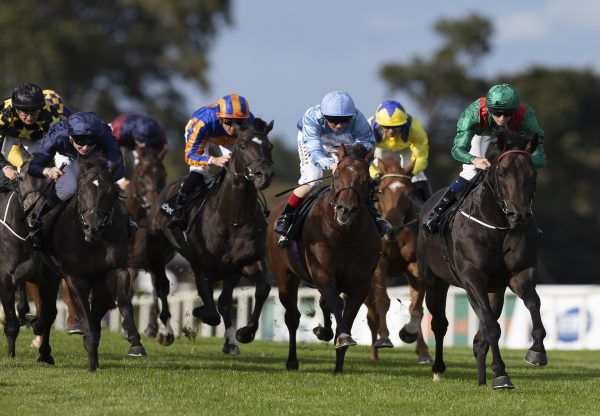Alakazi Footstepsinthesand Leopardstown