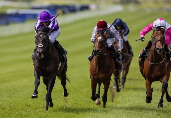 Albert Einstein (wootton bassett) Wins The Marble Hill Stakes