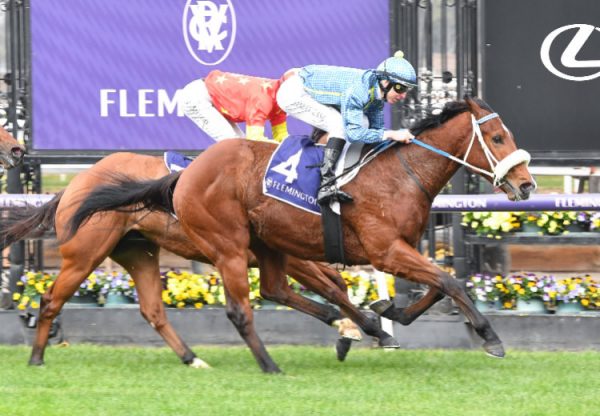 Aldolfito (Fastnet Rock) Flemington 750