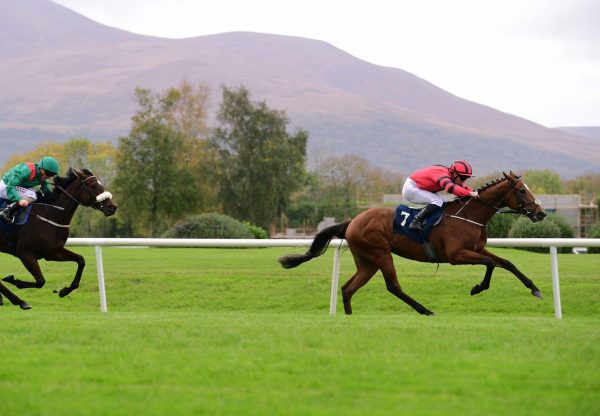 Alphecca Sioux Nation Killarney