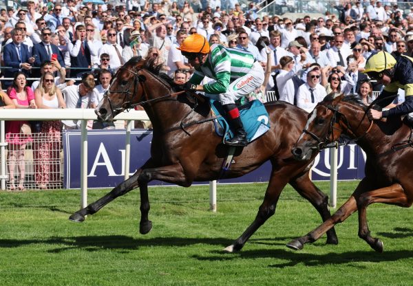 Amazing Journey (starspangledbanner) Wins At York