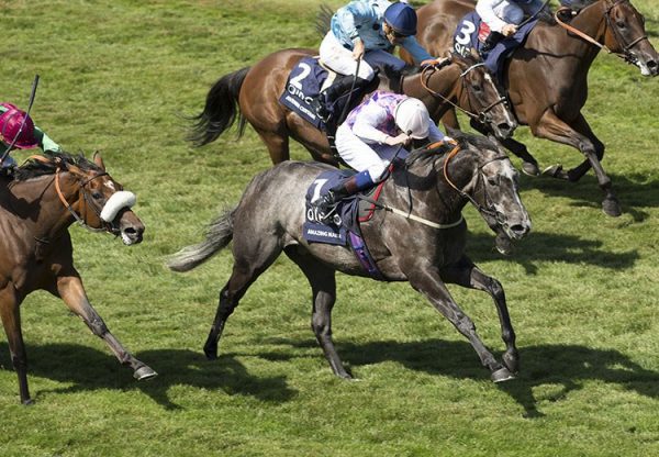 Amazing Maria (Mastercraftsman) winning the G1 Falmouth Stakes at Newmarket