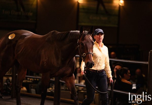 Amelias Jewel Sale 750