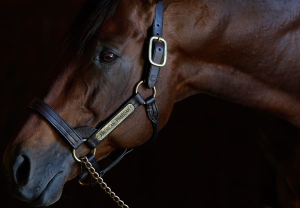 American Pharoah