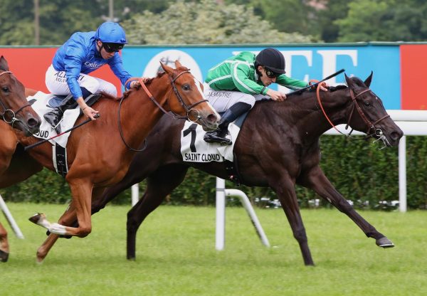 Angeal (Wootton Bassett) Wins On Debut At Saint Cloud