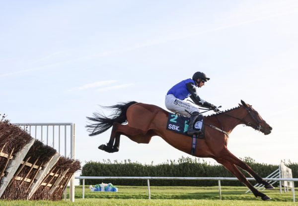 Ashroe Diamond (Walk In The Park) Wins The Grade 2 Yorkshire Rose Mares’ Hurdle at Doncaster
