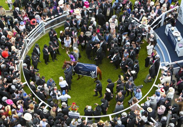 Australia After Winning The Epsom Derby