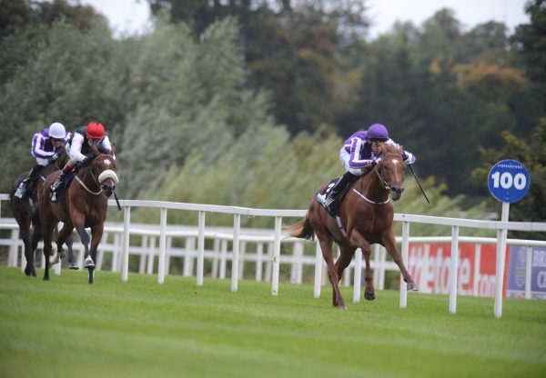 Australia Winning The G3 Breeders Cup Juvenile Trial At Leoaprdstown