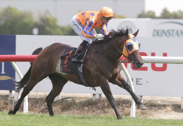 Avantage (Fastnet Rock) winning the Gr.1 BCD Group Sprint at Te Rapa
