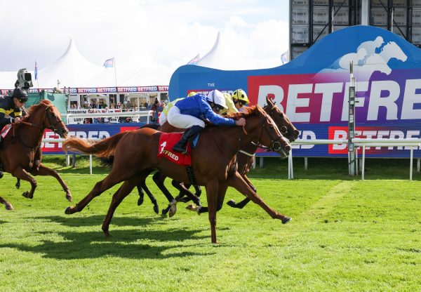 Avicenna Starspangledbanner Doncaster