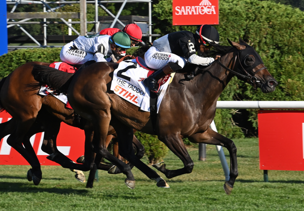 Awesome Czech (Mendelssohn) Wins Yaddo