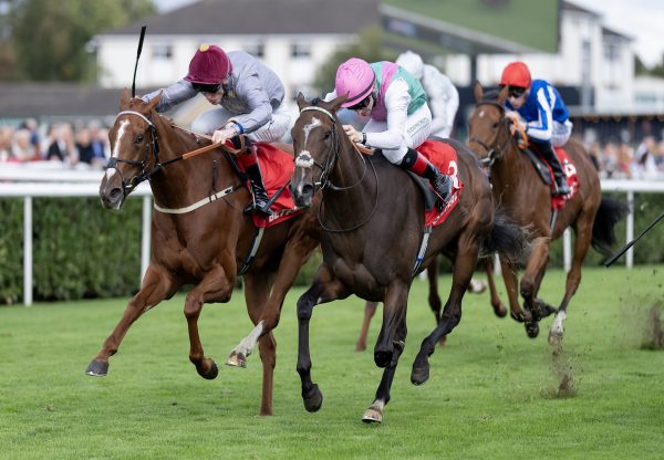 Aylin St Marks Basilica Doncaster