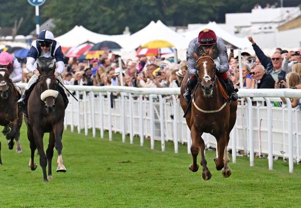Aylin (St Marks Basilica) Goodwood