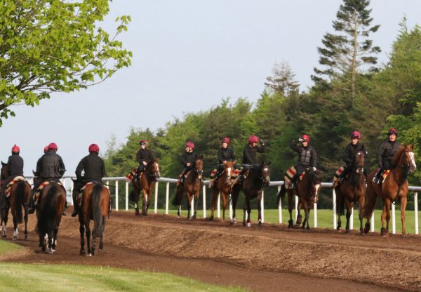 Balldyoyle Carousel 10