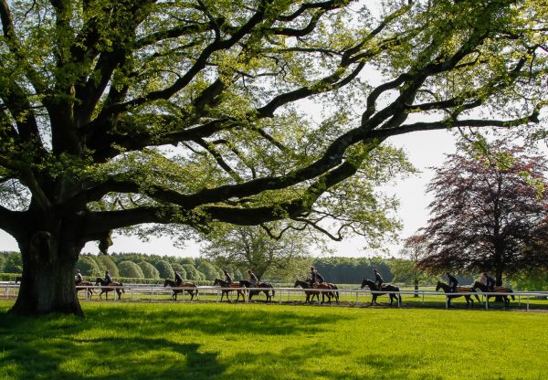 Balldyoyle Carousel 4