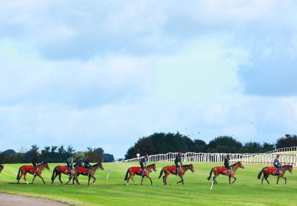 Balldyoyle Carousel 8