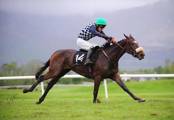 Ballinderry Moth (Yeats)