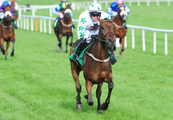 Bargy Lady (Yeats) winning at Listowel