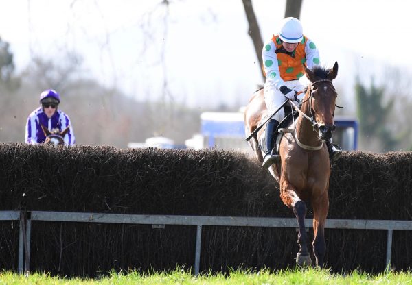 Between Waters (Walk In The Park) Wins The 4 Yo Mares Maiden At Lisronagh