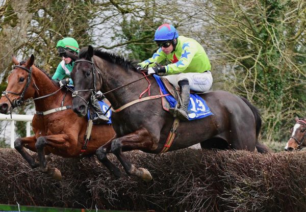 Big Interest (Soldier Of Fortune) Wins The 5YO Maiden At Lismore