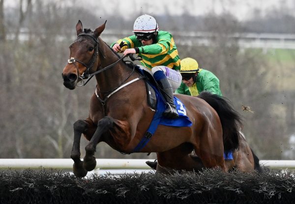 Bioluminescence (Walk In The Park) Wins Grade 3 Mares Novice Hurdle At Limerick