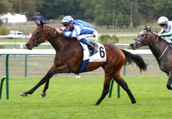 Blue Rose Cen (Churchill) Wins The Group 3 Prix D’ Aumale at ParisLongchamp