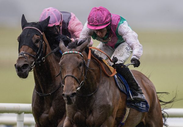 Bluestocking (Camelot) Wins The Group 1 Pretty Polly Stakes