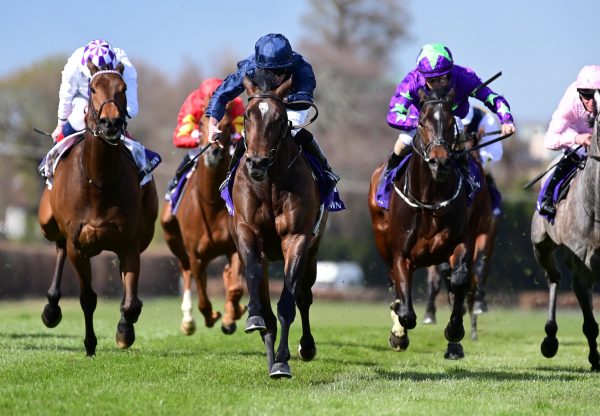 Bolshoi Ballet Ballysax
