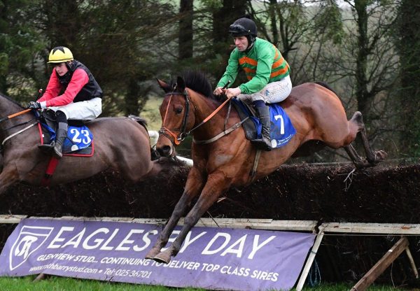 Border Lad Maxios Aghabullogue