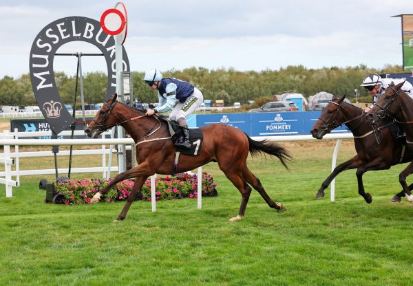 Born A Star (Starspangledbanner) Musselburgh