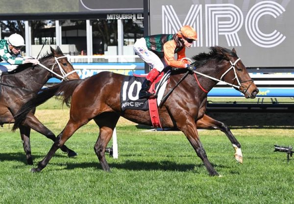 Bossy Benita (so you think) Caulfield 750