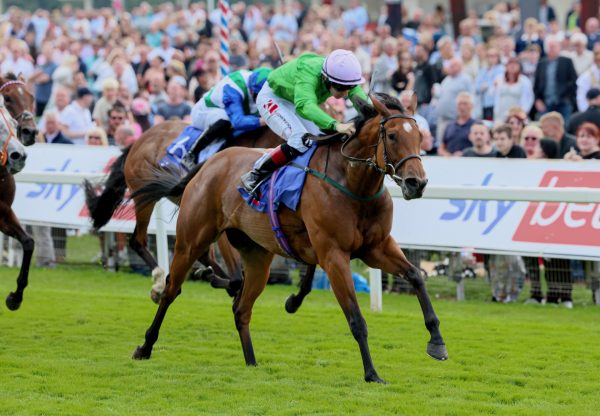 Breege (Starspangledbanner) Wins The Group 2 City Of York Stakes