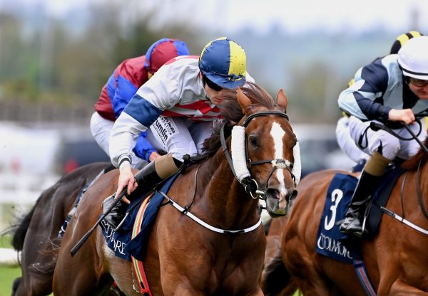 Bright Stripes (Starspangledbanner) Wins The Listed Coolmore Stud Paddington Irish Ebf Tetrarch Stakes