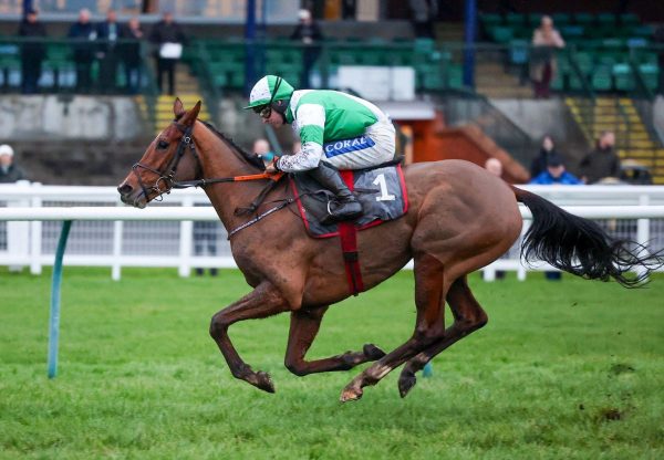 Broadway Ted Getaway Ayr